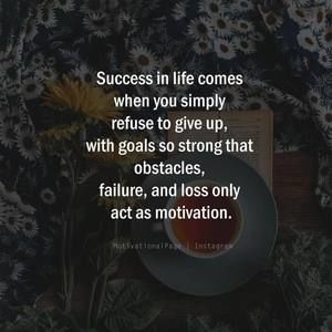 Meet your Posher, Amalia